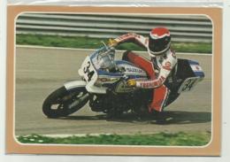 SUZUKI 1000 PER GARE SUPERBIKE - NV FG - Motorcycle Sport