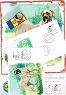 ANDORRE Esp. 3 DOC. Encart+FDC+Maximum Tematique  Chien Timbre Yvert 192 - Other & Unclassified