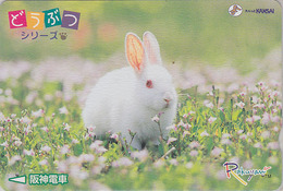 Rare Carte Prépayée JAPON / Série Animaux Rakuyan - ANIMAL - LAPIN ALBINOS - RABBIT JAPAN Prepaid - KANINCHEN - 312 - Kaninchen