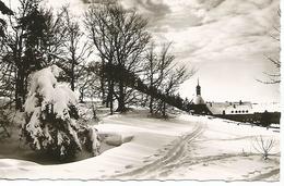 Winterpracht Der Rhoen Rhon - Rhön