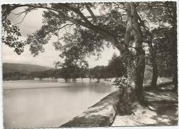 CPSM  Cabrière D'aigues Etang De La Bonde - Cabrieres D'Aigues