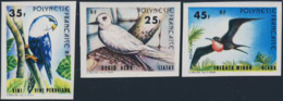 FRENCH POLYNESIA (1980) Various Birds. Set Of 3 Imperforates. Scott Nos 337-9, Yvert Nos 156-8. - Non Dentelés, épreuves & Variétés