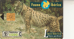 Fauna Ibérica  Lince Ibérico - Colecciones