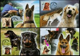 Romania 2015 MiNr. 7002 - 7005  Rumänien Pets Intelligent Dogs 4 MC 18,00 €  (limited 200 Sets) - Cartas & Documentos