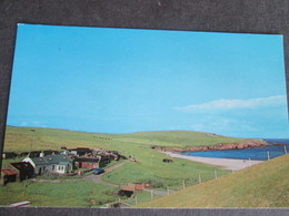 SKAW, UNST, SHETLAND ISLES, 1979 - Shetland