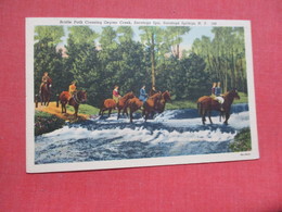 Bridle Path Crossing Geyser Creek  Saratoga Springs   New York      Ref 4102 - Saratoga Springs