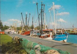 D-25761 Büsum - Hafen - Fischkutter - Büsum