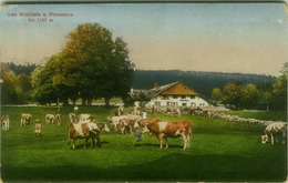 SWITZERLAND - LES ROCHATS S. PROVENCE - EDIT ROBERT BARBIER - 1910s (BG8262) - Provence