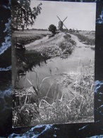 PAYS BAS / ZUID HOLLAND/  LANDSCHAP ONDER SCHOONHOVEN / LANDSCAPE WITH WINDMILL - Schoonhoven