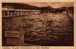 CPA AK Hersbruck Das Grosse Schwimmbecken GERMANY (959597) - Hersbruck