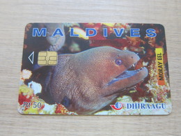 1997 Visit Maldives Year,fish, Used With Some Scratch - Maldives