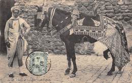 Sport.   Hippisme :      Tunisie  Cheval Et Cavalier   (voir Scan) - Paardensport