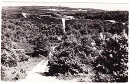 Brunssum Brunssummerheide - Vergezicht - 1962 - Brunssum