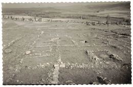 ESPAGNE NUMANCIA SORIA : RUINAS DE NUMANCIA VISTA PANORAMICA - CARTE PHOTO - Soria