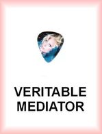 LADY GAGA MEDIATOR Medium PLECTRUM Guitar Pick (pull Bleu) - Zubehör & Versandtaschen