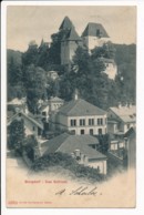 CPA SUISSE BURGDORF Das Schloss édition Photoglob Zürich - Otros & Sin Clasificación