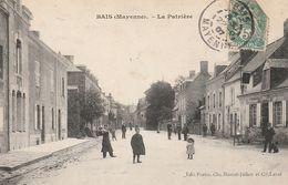 Bais 53 (660) La Patrière - Bais