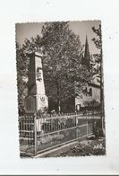 VILLEFRANCHE D'ALBIGEOIS (TARN) 102 LE MONUMENT AUX MORTS ET LE CLOCHER - Villefranche D'Albigeois