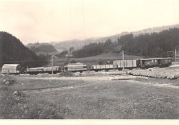 BVA - Lessoc Train  De Marchandise - Gruyère-Fribourg-Morat - GFM - G.F.M - Ligne De Chemin De Fer Train - CFZe 4/4 13 - Lessoc