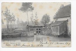 Halen  Haelen  -  Le Moulin 1907 - Halen