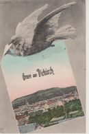 DIEKIRCH - GRUSS AUS - VUE AVEC OISEAU - Diekirch