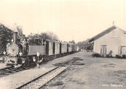 BVA - Gare De Bercher Vers 1930 - Lausanne - Echallens - Bercher - LEB - L.E.B. Ligne De Chemin De Fer Train - Bercher