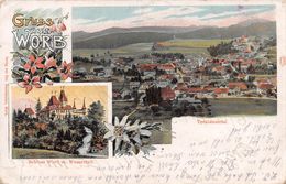 Gruss Aus Worb - Schloss - Wasserfall - Litho - Worb