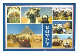 Egypt Gizeh Pyramid Costume Camel Viewcard - Piramiden