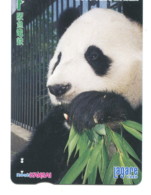 Titre De Transport Kansai : Panda - Mundo