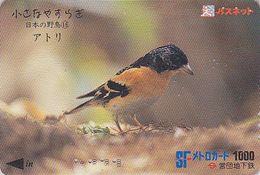 Carte JAPON - Série OISEAUX 16/16 - Animal - OISEAU - PINSON DU NORD - FINCH BIRD JAPAN Prepaid Metro Card - VOGEL  4553 - Songbirds & Tree Dwellers