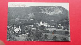 Radegund Mit Schockel-1911 - Braunau