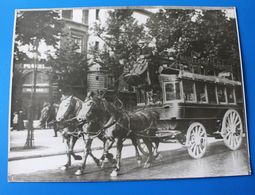 TRAMWAYS DE PARIS  OMNIBUS MADELEINE / BASTILLE  Photographie-photos-Photo Originale TRAMWAY BUS AUTOBUS RÉSEAU PARISIEN - Auto's