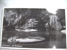 Nederland Holland Pays Bas Driebergen Met Wildbaan In Park - Driebergen – Rijsenburg