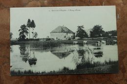 ORGELET (39) - ENVIRONS - L'ETANG D'ECOLE - Orgelet