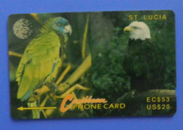 St Lucia Bird Amazona Oiseaux Vogel Birds Parrots Bald Eagle Caribbean Amazon - Parrots