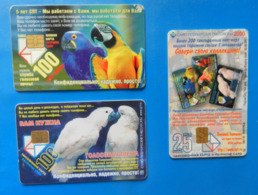 Russia Bird X3 Hyacinth Macaw Cockatoo Parrot Oiseaux Vogel Birds Parrots - Parrots