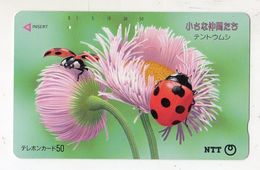 JAPON TELECARTE COCCINELLE INSECTE - Coccinelles