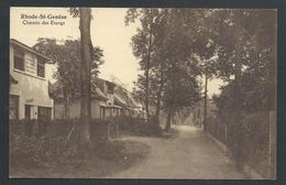 +++ CPA - RHODE SAINT GENESE - Chemin Des Etangs   // - St-Genesius-Rode