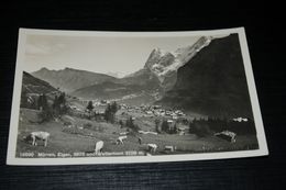 16198-              MÜRREN - 1939 - Kühe