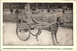 SPECTACLE - CIRQUE Et Phénomènes - Grand Mutillé Du Travail Sans Pension Attelage à Chien - Zirkus