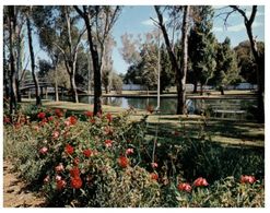 (A 16) Australia - NSW - Broken Hill Zinc Corporation / Section Of Twin Lake - Broken Hill