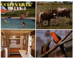 (A 21) Australia - VIC - Golden River (Motel ?) - Mildura