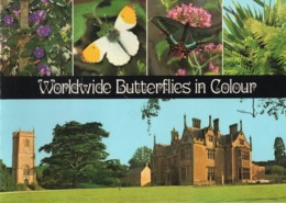 Boek / Worldwide Butterflies In Colour Met Zeer Mooi Foto's (Engels) - Vita Selvaggia