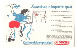 Buvard L'aliment Du Muscle C'est Le Sucre J'escalade N'importe Quoi - Format : 13.5x21 Cm - Süssigkeiten & Kuchen