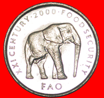 · ELEPHANT (1999-2002): SOMALIA ★ 5 SHILLINGS 2000 MINT LUSTER! LOW START★NO RESERVE! - Somalie