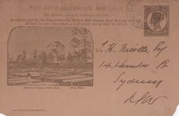 QUEENSLAND       ENTIER POSTAL/GANZSACHE/POSTAL STATIONARY CARTE ILLUSTREE DE BRISBANE - Storia Postale