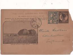 QUEENSLAND 1906       ENTIER POSTAL/GANZSACHE/POSTAL STATIONARY CARTE ILLUSTREE - Cartas & Documentos