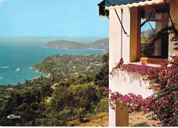 83 - Le Rayol - Vue Panoramique Prise De La Villa Saint Jean - Rayol-Canadel-sur-Mer