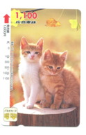 Japon - Bus Card : Chat - Monde