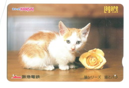 Japon - Lagare Card : Chat - World